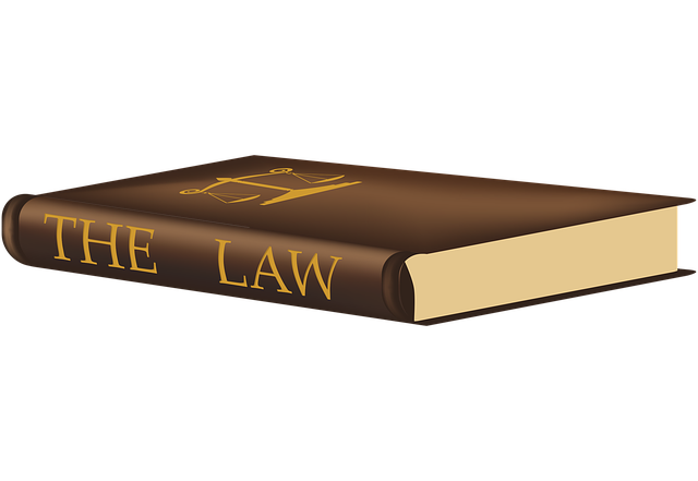 Employment Law Ensuring Fairness in the Workplace