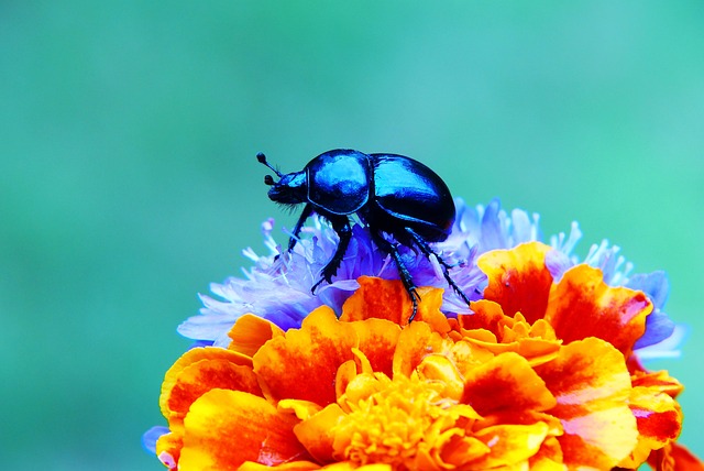 Environmental Impacts on Biological Systems