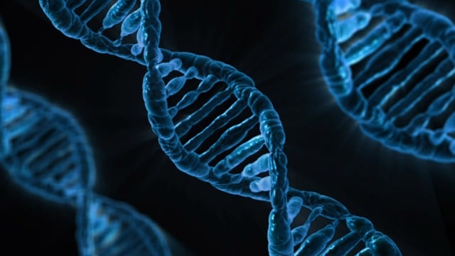 The Impact of Genetics on Medicine