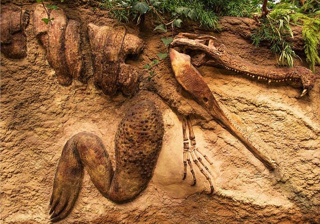 Unearthing the Fascinating World of Fossils in Geology