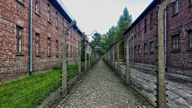 The Holocaust: A Dark Chapter of World War II