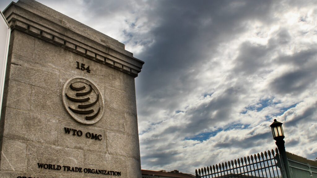 Future Prospects and Reforms for the WTO
