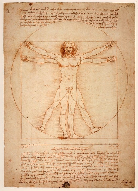 Leonardo da Vinci: The Renaissance Man