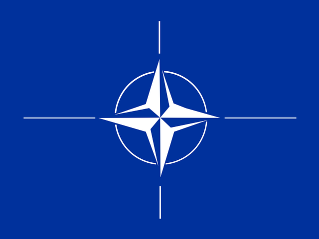 The History and Evolution of NATO