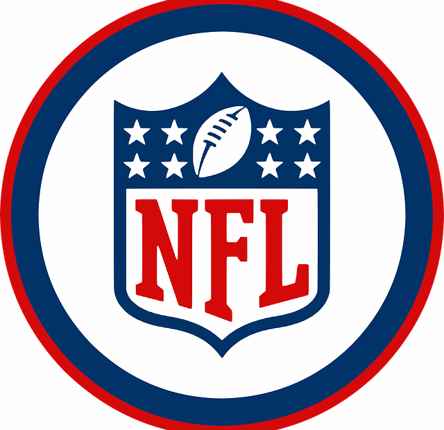 NFL Logo