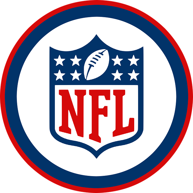 NFL Logo