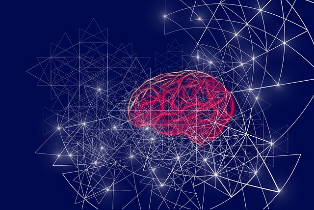 Receiver Operator Characteristic (ROC)