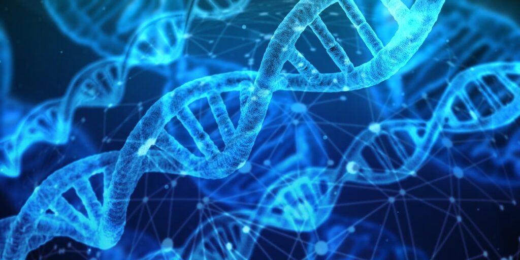 The Importance of DNA in Forensic Science