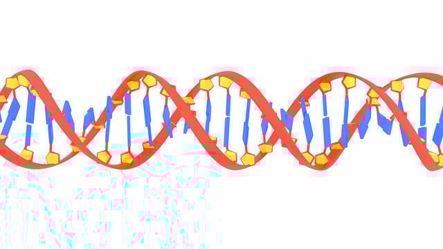 RNA-based Therapeutics: Advancements and Potential Applications
